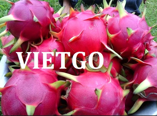 Cơ hội giao thương  - Đơn Hàng Cả Năm -  Cơ hội xuất khẩu Thanh Long sang thị trường Ấn Độ