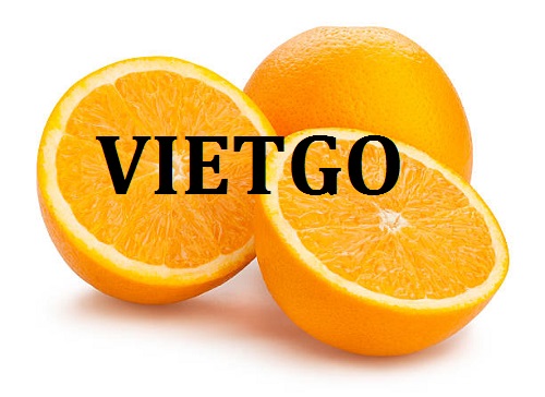 Cơ hội giao thương  - Đơn Hàng Cả Năm -  Cơ hội xuất khẩu Cam Vàng sang thị trường Ấn Độ