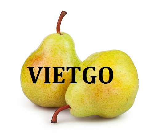 Cơ hội giao thương  - Đơn Hàng Cả Năm -  Cơ hội xuất khẩu Quả Lê sang thị trường Ấn Độ