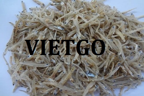 Cơ hội giao thương – Đơn hàng đặc biệt – Cơ hội xuất khẩu cá cơm khô sang thị trường Pháp