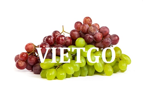 Cơ hội giao thương  - Đơn Hàng Cả Năm -  Cơ hội xuất khẩu Quả Nho sang thị trường Ấn Độ