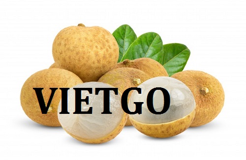 Cơ hội giao thương Đặc Biệt  - Đơn Hàng Thường Xuyên -  Cơ hội xuất khẩu Quả Nhãn sang thị trường UAE