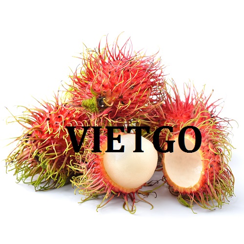 Cơ hội giao thương Đặc Biệt  - Đơn Hàng Thường Xuyên -  Cơ hội xuất khẩu Quả Chôm Chôm sang thị trường UAE