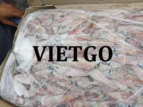 Cơ hội giao thương đặc biệt – Cơ hội xuất khẩu Mực baby sang thị trường Pháp