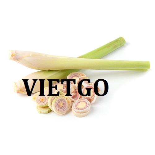 Cơ hội giao thương  -  Cơ hội xuất khẩu Sả sang thị trường Trung Quốc
