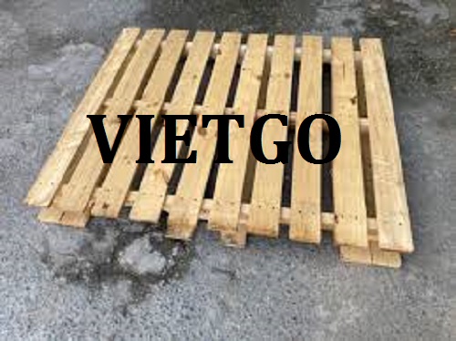 Cơ hội giao thương –Đơn hàng thường xuyên - Cơ hội xuất khẩu Pallet sang thị trường Anh.