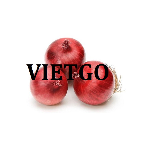 Cơ hội giao thương  - Đơn Hàng Thường Xuyên -  Cơ hội xuất khẩu Hành Tây sang thị trường Ấn Độ
