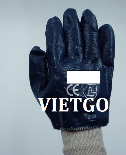Cơ hội giao thương – Đơn hàng hàng tháng - Cơ hội cung cấp các sản phẩm găng tay cho một doanh nghiệp tại Ấn Độ