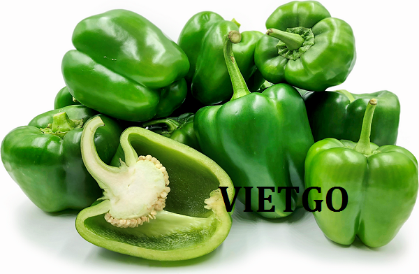Cơ hội giao thương  - Đơn Hàng Thường Xuyên -  Cơ hội xuất khẩu Ớt Chuông sang thị trường UAE
