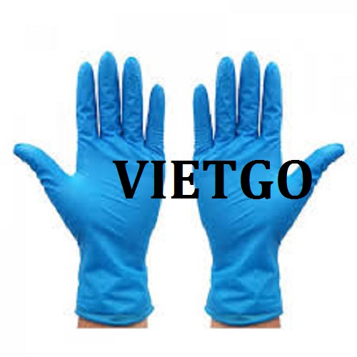 Cơ hội giao thương – Cơ hội xuất khẩu mặt hàng găng tay cao su sang thị trường Ý