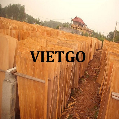 Cơ Hội Giao Thương Đặc Biệt – Đơn Hàng Thường Xuyên - Cơ Hội Xuất Khẩu Ván Bóc Sang Thị Trường Trung Quốc.