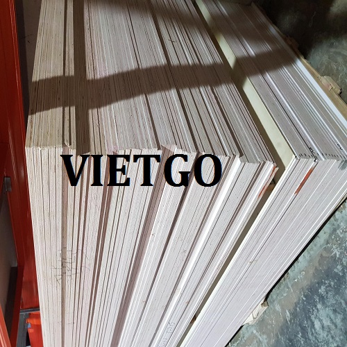 Cơ Hội Giao Thương Đặc Biệt - Đơn Hàng Cả Năm – Cơ Hội Xuất Khẩu Gỗ Dán Sang Thị Trường Israel.