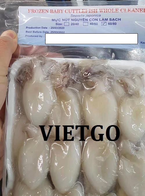 Đơn hàng Đặc biệt - Cơ hội xuất khẩu Mực Nút nguyên con sang thị trường Hàn Quốc