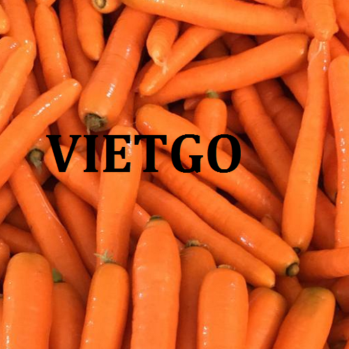 Cơ hội xuất khẩu Cà Rốt sang thị trường Ả Rập.