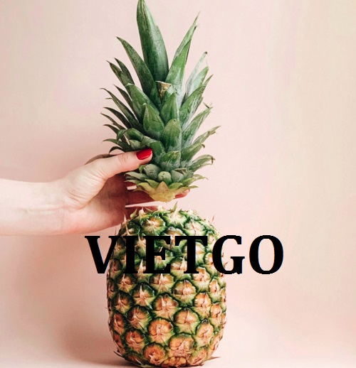 Cơ hội xuất khẩu Dứa Tươi đến từ một vị khách hàng tiềm năng hiện đang sinh sống và làm việc tại Pakistan