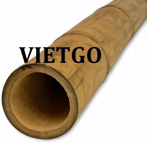 Thương vụ hợp tác với thương nhân người Hy Lạp cho sản phẩm Gậy Tre