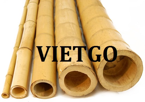 Cơ hội cung cấp 400 tấn gậy tre (đặt thử) cho một dự án nông nghiệp lớn tại Đức