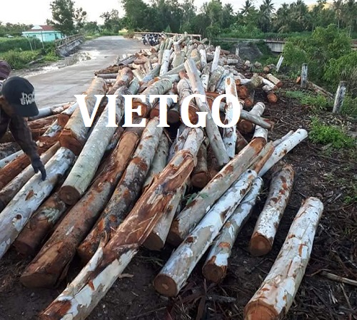 Cơ hội xuất khẩu gỗ bạch đàn và cao su làm nội thất ít nhất 500 tấn/tháng mỗi loại sang Trung Quốc.