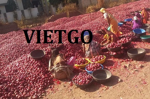 Đơn hàng xuất khẩu lên đến 15 container 40ft Hành tím sang thị trường Sri Lanka đầy tiềm năng.