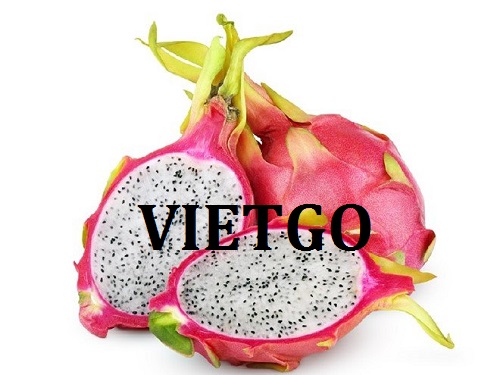 Đơn Hàng Đặc Biệt - Cơ hội xuất khẩu Thanh Long trong vòng một năm đến từ vị khách hàng chuyên kinh doanh  trái cây tươi tại Bangladesh.
