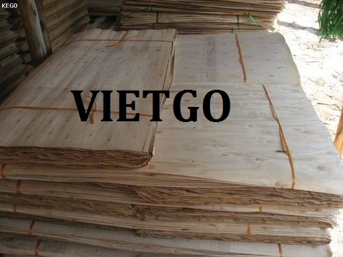 Đơn Hàng Cả Năm – Cơ Hội Xuất Khẩu Ván Bóc Lõi Gỗ Cao Su Sang Thị Trường Ấn Độ.
