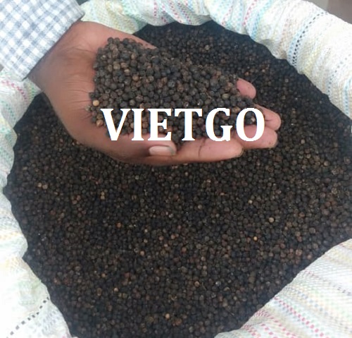 Cơ hội xuất khẩu Tiêu đen sang thị trường Ấn Độ.