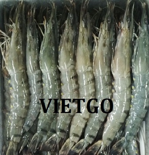 Nhà máy chế biến thực phẩm của Trung Quốc cần tìm nhà cung cấp Tôm sú