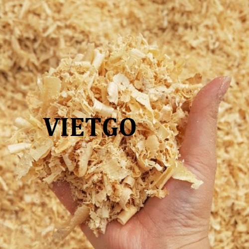Cơ hội xuất khẩu 1.500 tấn dăm bào mỗi tháng sang thị trường UAE.