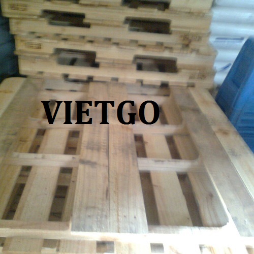 Cơ Hội Xuất Khẩu 10.000 Pallet Gỗ Thông Đã Qua Sử Dụng Sang Thị Trường Ấn Độ.