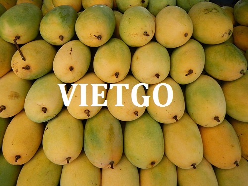 Cơ hội xuất khẩu Xoài Tươi sang thị trường Bangladsesh