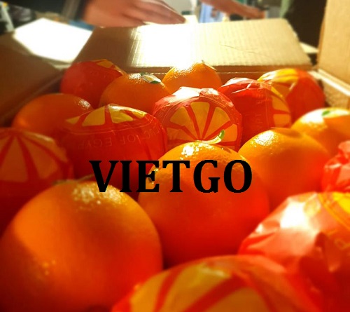 Cơ hội xuất khẩu Cam sang thị trường Dubai.