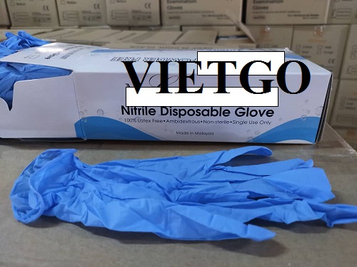 Cơ hội xuất khẩu găng tay cao su y tế đến thị trường Đức