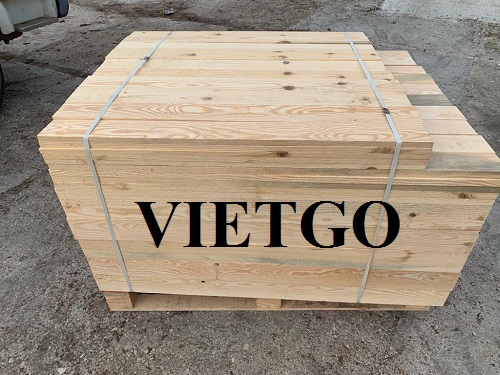 Cơ hội xuất khẩu 20 container 20ft gỗ thông mỗi tháng làm pallet sang thị trường Thụy Điển và Israel.
