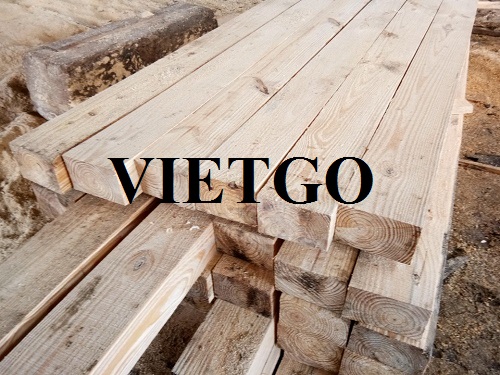 (Gấp) Cơ hội xuất khẩu gỗ thông sang thị trường Ấn Độ.
