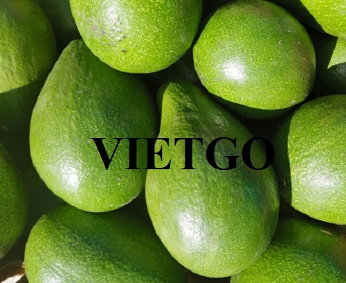 Cơ hội xuất khẩu Bơ sang thị trường Pakistan