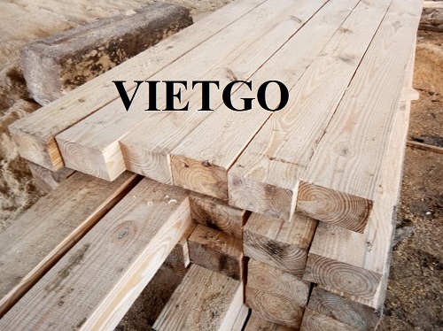 Cơ hội xuất khẩu gỗ thông xẻ sang thị trường Australia.