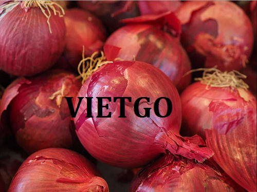 Cơ hội xuất khẩu Hành Tây Tím sang thị trường Ấn Độ
