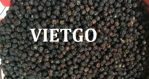 Cơ hội xuất khẩu Hạt Tiêu sang thị trường Ấn Độ
