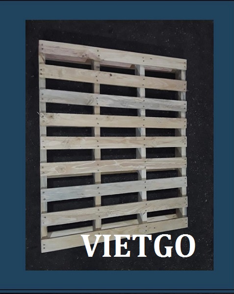 Cơ hội xuất khẩu 10.000 pallet gỗ thông hàng tháng sang thị trường Trinidad và Tobago.