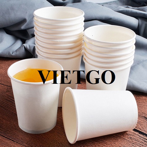 Cơ hội xuất khẩu hơn 300 container 40HC cốc giấy mỗi năm sang thị trường Israel.