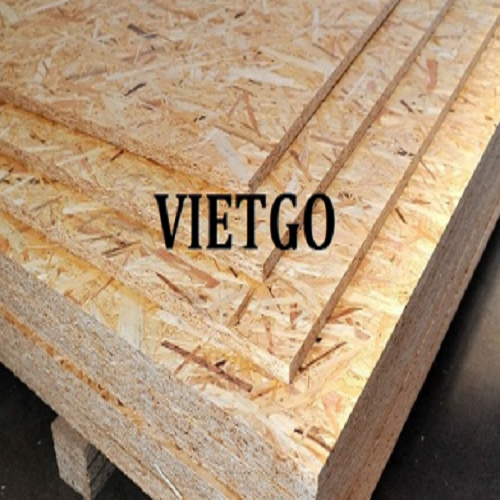 Cơ hội xuất khẩu 50 container 20ft ván dăm định hướng OSB hàng tháng sang thị trường Mỹ