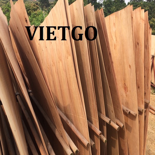 Cơ hội xuất khẩu 2.000m3 ván bóc bạch đàn hàng tháng sang thị trường Campuchia