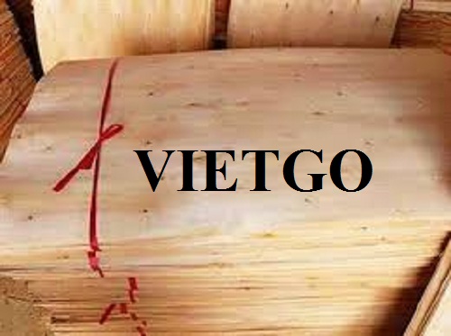 (Gấp) Cơ hội xuất khẩu 50 container 40ft ván bóc mỗi tháng sang thị trường Trung Quốc