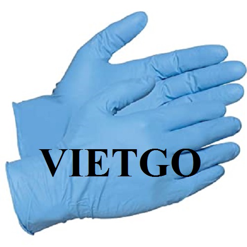 Cơ hội xuất khẩu găng tay y tế đến thị trường Ai Cập