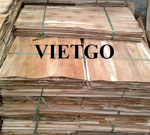 Cơ hội xuất khẩu 20 container 40ft ván bóc sang thị trường Trung Quốc và Malaysia