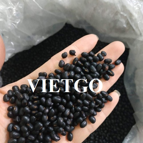 Cơ hội xuất khẩu một số loại đậu sang thị trường Angola