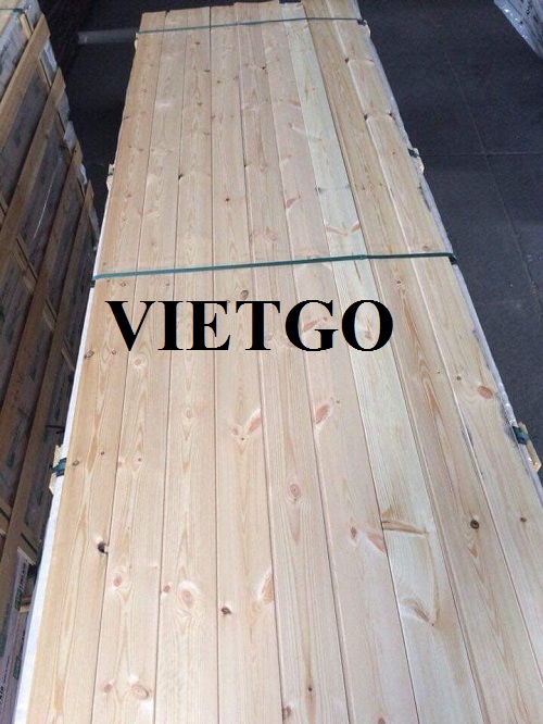 Cơ hội xuất khẩu gỗ thông xẻ sang vương quốc Anh