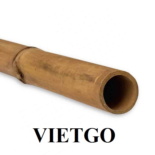 Cơ hội trở thành nhà cung cấp gậy tre cho một dự án xây dựng khu nghỉ dưỡng tại Kenya