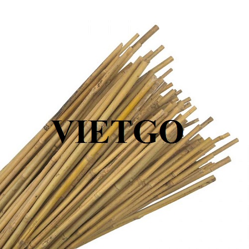 Cơ hội xuất khẩu gậy tre số lượng lớn sang thị trường Ả Rập Xê Út
