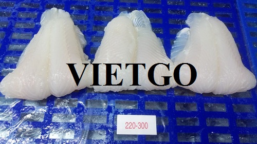 Cơ hội xuất khẩu 1 container 40 feet cá Basa đông lạnh sang thị trường Venezuela